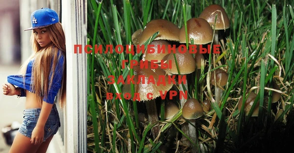 шишки Россошь
